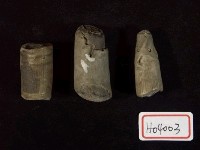藏品(擴足類化石)的圖片